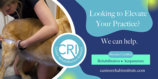 Canine Rehabilitation Institute ad
