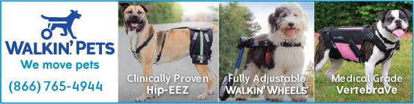 Walkin Pets ad