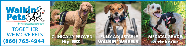 Walkin Pets ad
