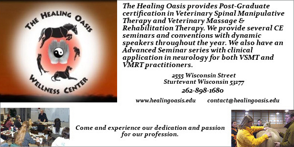 Healing Oasis ad