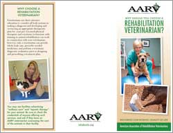 AARV brochure