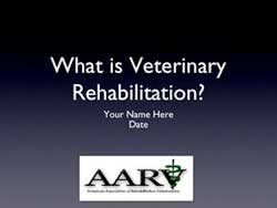 AARV PowerPoint image