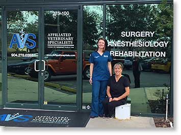 Affiliated Veterinary Specialists