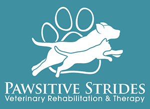 Pawsitive Strides Veterinary Rehabilitation & Therapy logo