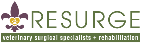 Resurge logo
