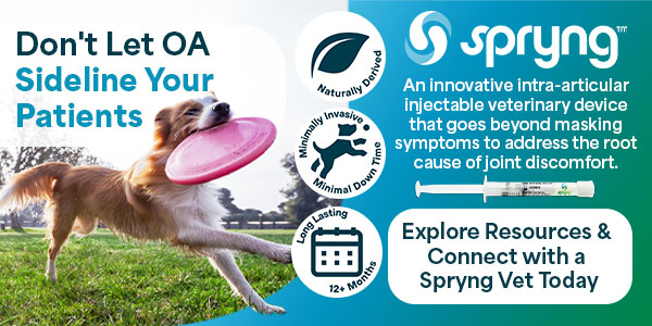 Spryng ad