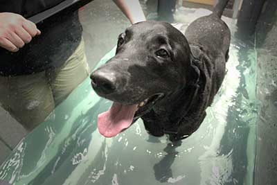 Hydrotherapy