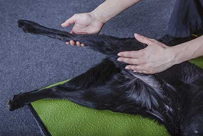 Manual therapy Manual therapy