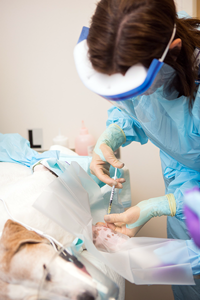 Targeted joint therapy Targeted joint therapy