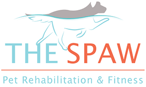 The SPAW logo