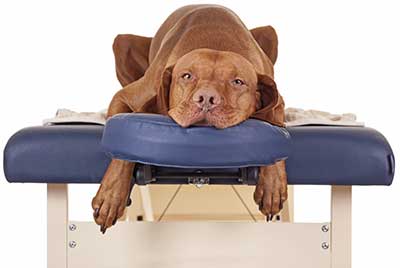 Therapeutic massage Therapeutic massage
