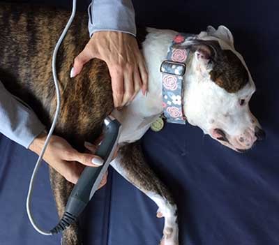 Therapeutic ultrasound Therapeutic ultrasound
