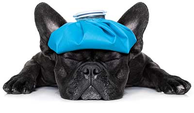 Thermotherapy Thermotherapy