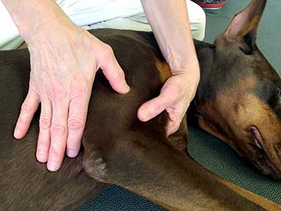 Trigger point therapy Trigger point therapy