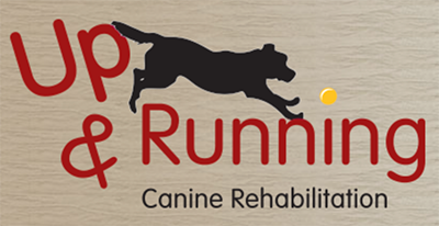 Up and Running Canine Rehabilitation logo