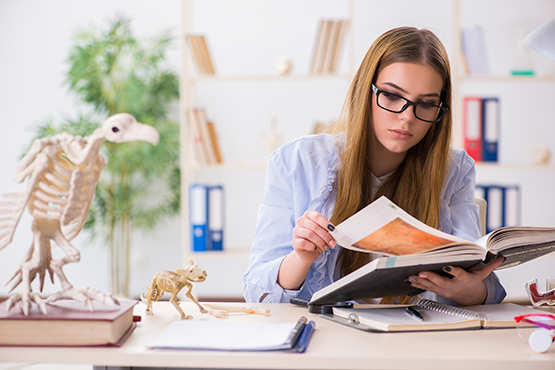 Veterinary student studying