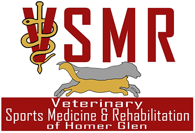 Veterinary Sports Medicine & Rehabilitation of Homer Glen (VSMR) logo