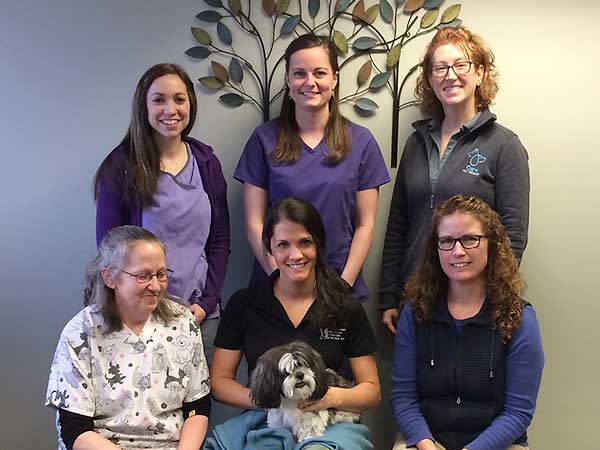 CARE Pet Therapy (Complementary and Animal Rehabilitation Essentials) at Veterinary Medical Center of Central New York