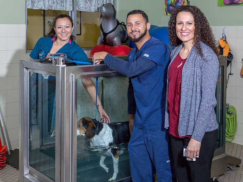 Coral Springs Animal Hospital