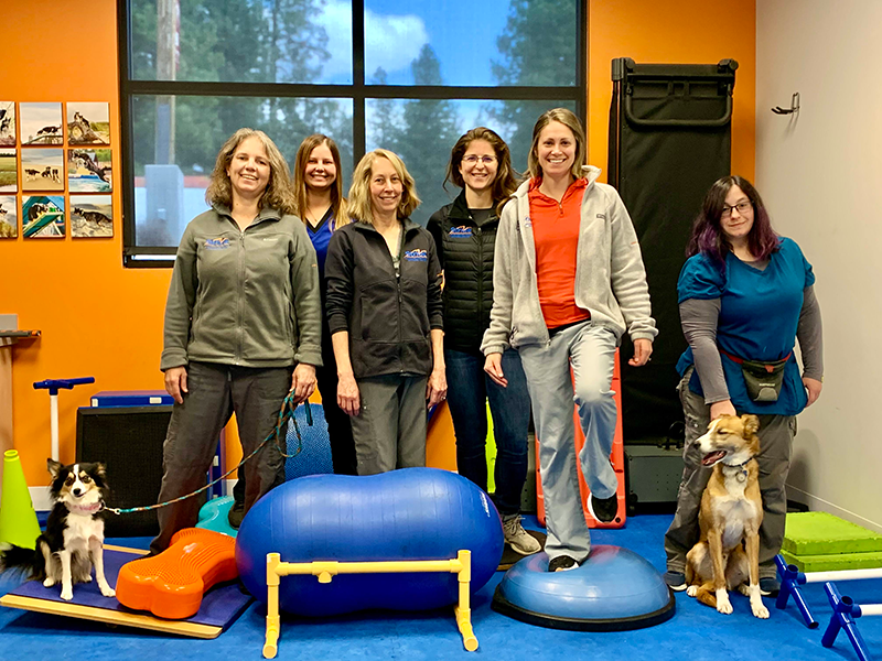 Stride Canine Rehabilitation and Fitness Center