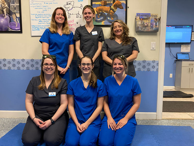 Treasure Coast Animal Rehab and Fitness