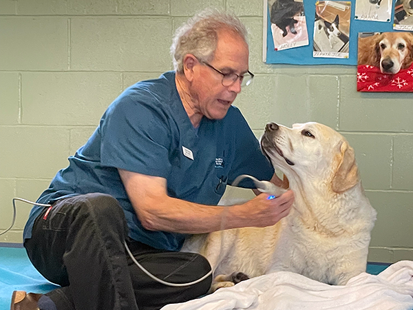 Veterinary and Rehabilitation Center of Cape Elizabeth