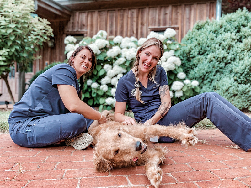 Veterinary Rehabilitation & Sports Medicine