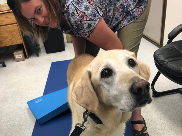 Integrative Veterinary Medicine Service at Washington State University Veterinary Teaching Hospital